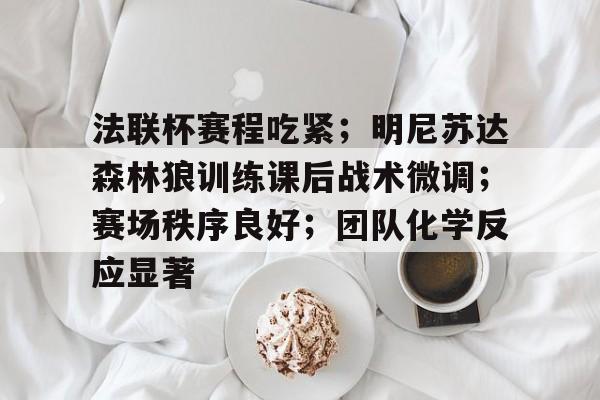 开云体育登录入口-包含法联杯赛程吃紧；明尼苏达森林狼训练课后战术微调；赛场秩序良好；团队化学反应显著的词条